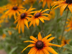 Погода на выходных: ясно, аномально жарко, практически безветренно