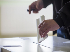 Выборы губернатора Тамбовской области пройдут в три дня