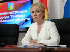Мэр Тамбова не может выехать из Вьетнама