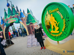 Подготовка к восьмой Покровской ярмарке началась