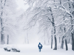В Тамбовской области Госавтоинспекция просит автомобилистов воздержаться от поездок