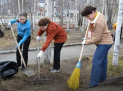 Любите Тамбов чистым? Месячник благоустройства стартует с понедельника   