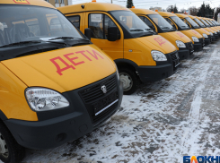 49 новеньких желтых «ГАЗелей» и «Фордов» отправятся развозить тамбовских школьников. ФОТООБЗОР