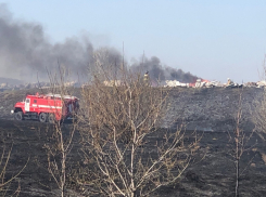 Полигон «КОМЭК» на северном обходе Тамбова оказался в опасной близости от очага возгорания