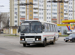 В Тамбове изменилось расписание автобусов №31 и №31Р 
