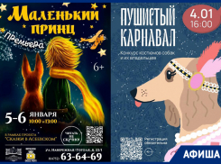 Одна за всех: новогодние мероприятия в усадьбе Асеевых на все выходные