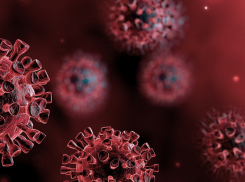 В регионе за последние 24 часа выявили почти 900 новых заболевших covid-19