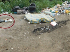 Труп младенца был найден на свалке в Строителе 