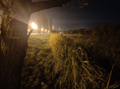 Последние выходные сентября в Тамбове будут тёплыми и солнечными