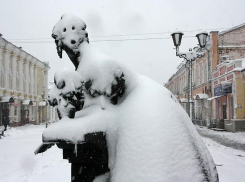 На выходных тамбовчане снова увидят снег
