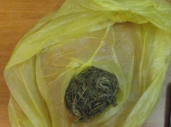 В Кирсанове задержан пенсионер с наркотиками