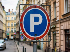 В Тамбовской области создадут «единое парковочное пространство»