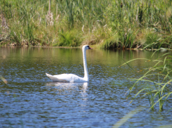 Тамбовская область по-прежнему возглавляет национальный экологический рейтинг 