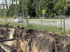 В Тамбове возник спор из-за саженцев в зоне работ ремонта теплосетей