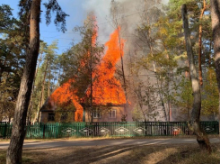 В Пригородном лесу Тамбова сгорели дотла два деревянных дома