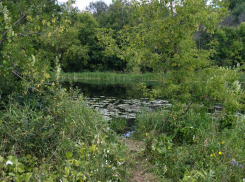 В Мичуринском районе в реке нашли тело пастуха