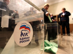 Подведены результаты предварительного голосования в Тамбовской области 