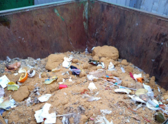 Министр экологии Тамбовской области разъяснила порядок обращения с отходами