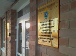 Жители села Кочетовка в Тамбовской области жалуются на сажу от ближайшего предприятия