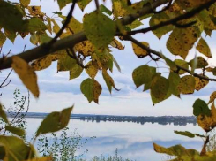 Погода в Тамбовской области: тепло и облачно