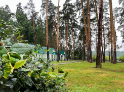 Конец рабочей недели в Тамбове будет облачным, дождливым и прохладным