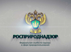 Росприроднадзор взыскал с тамбовского «ТЭКО-Сервис» 2 миллиона рублей за вред окружающей среде