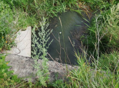 На севере Тамбова обнаружено новое озеро коммунальных нечистот 