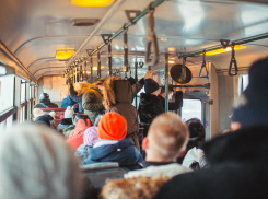 Тамбовчане лишились возможности оставлять жалобы на сайте «Пассажирских перевозок»