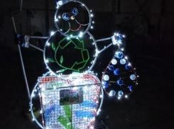 «Тамбовская сетевая компания» представила новогодний арт-объект в виде эко-ёлки