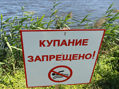 На четырёх пляжах Тамбова качество воды не соответствует нормам