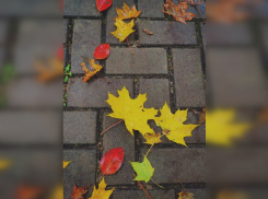 Погода в Тамбове в выходные не порадует теплом и солнцем