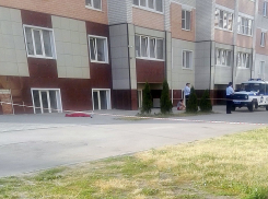 Четырехлетняя девочка выпала из окна многоэтажки на Свободной 