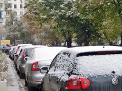 До Нового года в Тамбове выпадет снег