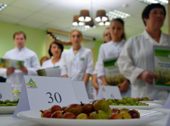 Мичуринские учёные презентовали 18 новых гибридов крыжовника
