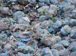 «КомЭк» незаконно завалил мусором землю под Тамбовом