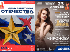 Тамбовские мероприятия, посвящённые Дню защитника Отечества 