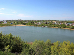 Черепахи, резиновая Зина, горы покрышек и мусора: что ещё нашли участники экологического квеста в Ласковском карьере