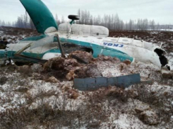 На Кершенское водохранилище упал легкомоторный самолет