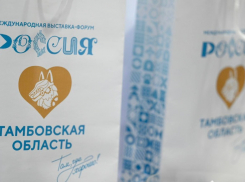 Тамбовская область намерена стать всероссийским инкубатором агротехнологий