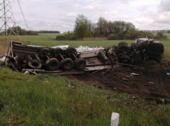 В Никифоровском районе перевернулся грузовик. Есть жертвы