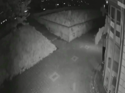 Две тамбовчанки украли воздушные шары с фасада здания