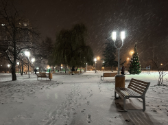 Предновогодняя неделя в Тамбове будет снежной и сырой