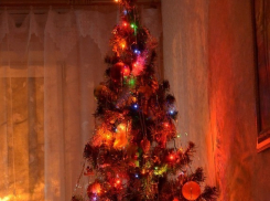 Ёлочным базарам в Тамбове дали «зеленый свет» 