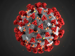 В Тамбовской области за сутки коронавирус выявлен ещё у 109 человек