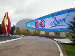 Тамбовские школьники могут получить бесплатные путёвки на отдых в «Артеке»