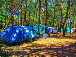 В Тамбовском районе на берегу Цны появится туристический кемпинг