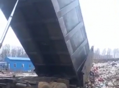 Коммунальная техника тонет в грязи мусорного полигона в Рассказовском районе