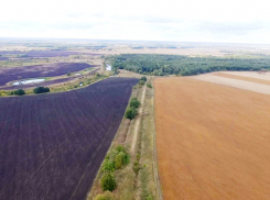 Три старинных вала в Тамбовской области могут стать памятниками археологии