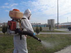 В Тамбове приступили к акарицидной обработке скверов и парков