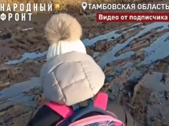 Школьники посёлка Комсомолец десять лет ходят на уроки в темноте и по грязи